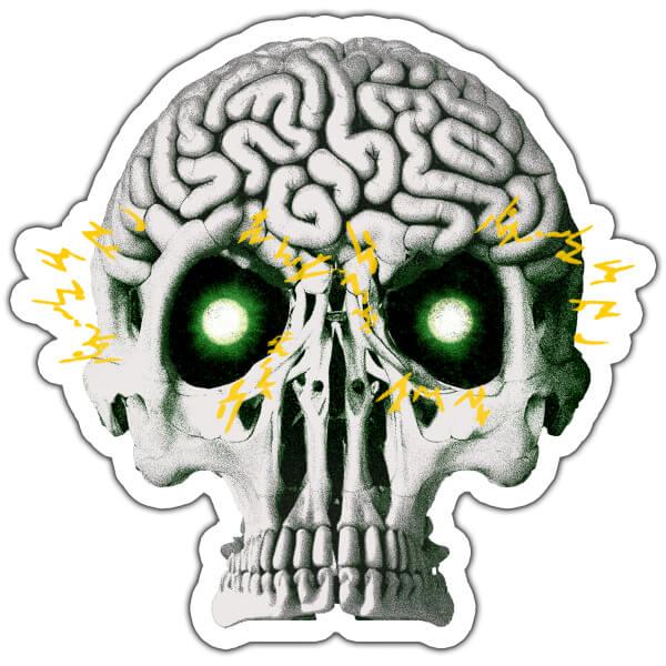 Brain Skull Vinyl Sticker - No System
